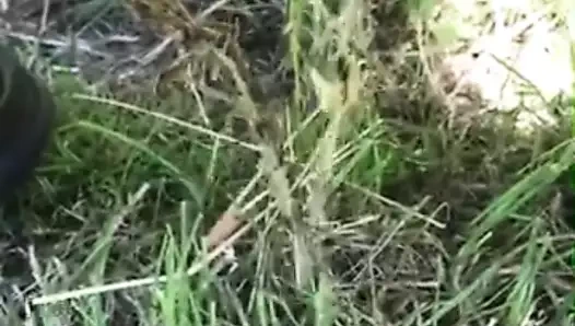 Vahşi doğada işiyor