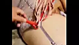 hafifçe KEDİ şanti