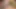 Sürtük tgirl carolina martins götünü ve ağzını büyük zenci yarağıyla dolduruyor