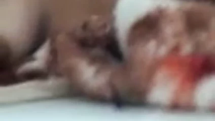 Ranchi, tatminsiz ev hanımı