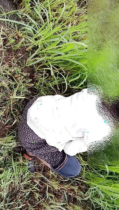 Üvey kız kardeşini tarlada aldatan ve onu kulübe yapan eve götürüyor