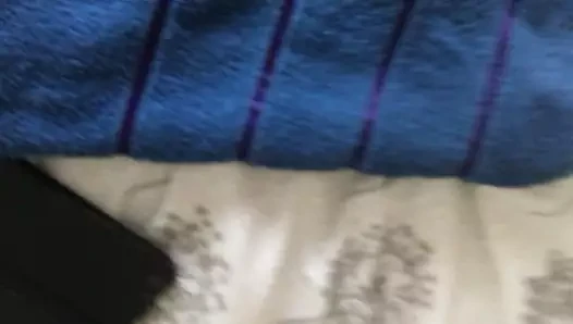 Mules döl yakalayıcılar