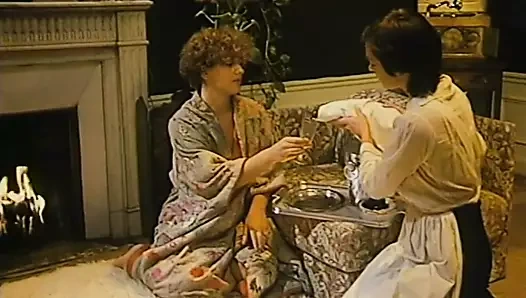 Chambres D'amis Tres Particulieres (1981)