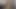 Azgın köpek yavrusu ateşli amcığını ovuyor