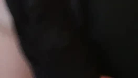 Amatör çift emiyor ve sikişiyor
