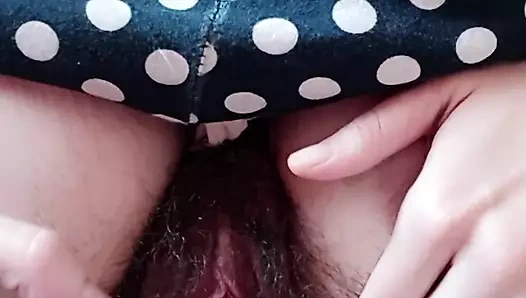 En iyi tüylü kedi yakın çekim yayıldı. kalın orman.