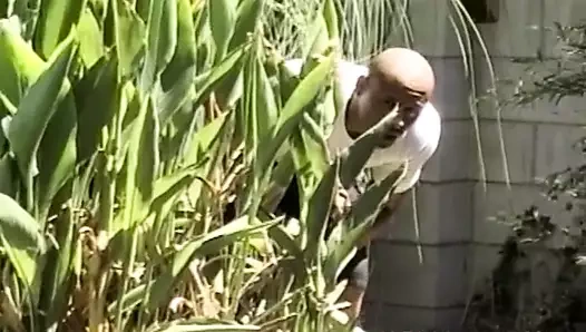 Siyah çift açık havada biraz oral sahiptir