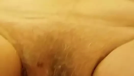 Amcık