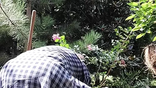 Bahçıvan baba hareketli çalılar