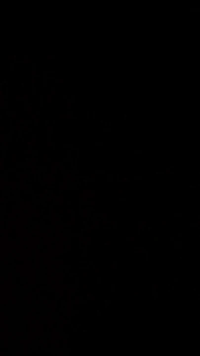 "Upuan daw ako sabi ng Hintli evli kadın ko" dan ikonik an