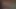 POV Blowjob #4 -Vanessa 2016