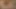 O sikikleri onun seksi Asya karısı