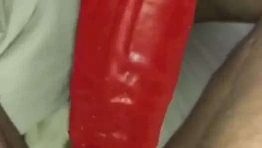 Usta için oynayan evcil hayvan