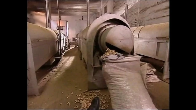 Горячих сексуальных блондинок-шлюшек жестко отшпилили!