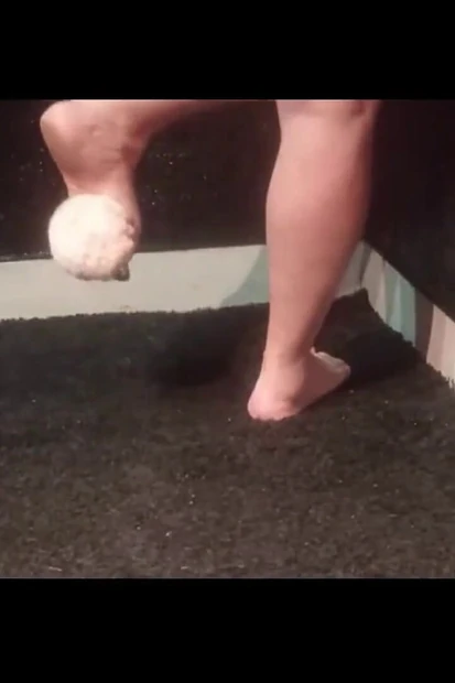 Мел играет с домашним животным 1