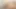 Reality Kings - Bree Daniels ve Karla Kush ciddi amcık yalıyor