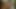 inilti dövmeli kıllı göt raw çıplak becerdin ve kremalı