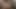 Ateşli oral seks ile çeşitli amcık yalama derlemesi