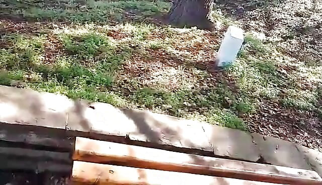 Şehir parkında