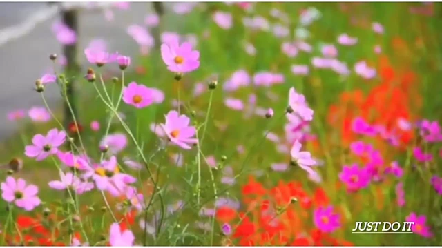 Mim desi kız ateşli hikaye sadece yap