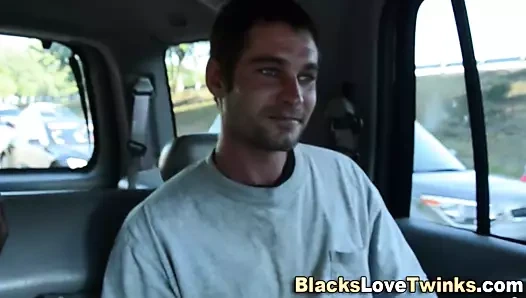 Damızlık siyah ºeyi sürmek ve kafa verir