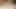 Chunky Gay Bottom's 10" Dildo Ride Fat Ass Begs for Daddy