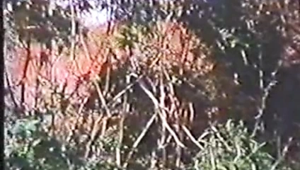 A QUINTA DIMENSaO DO SEXO