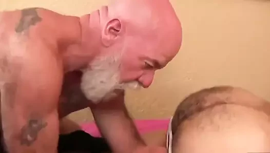 ayılar lanet