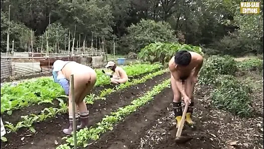 Özgür ruhlu olgun kadınların açık havada yetişkin özgürlüklerini kucakladığı kırsal kaçış -sahne.3