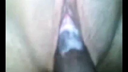 sıkı beyaz KEDİ gergin tarafından bbc - #