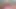 Kız öğrenci yurdu pijama partisinde tüketiliyor