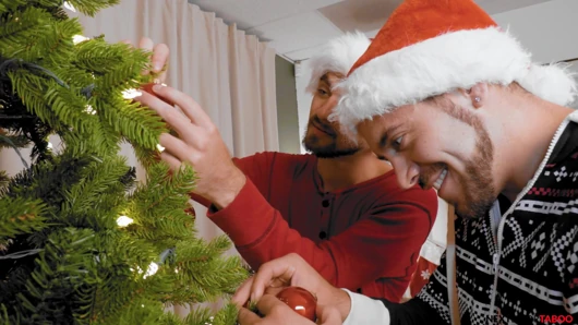 Nextdoortaboo - üvey kardeş Noel'de becerdin