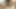 Amatör seksi evli kadın sihirli değnek vibro ile oynuyor ve orgazm oluyor