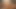 filip berky