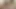 Anastasia sahibe, Nick Morris ve Angelo Deeben filme aldıktan sonra ırklararası üçlü seks yapıyor