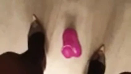 Ein dicker Pferdeschwanz