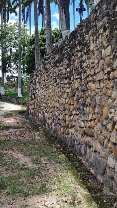 Aldatan evli kadın açık havada emiyor ve sikişiyor sonra götünü yalattıktan sonra sert ve korunmasız sikiliyor | Klip 1