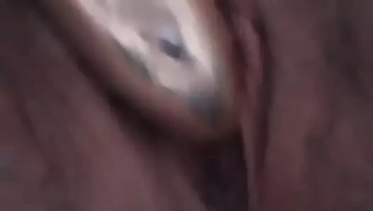 benim krem ​​KEDİ