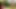 Jasmine black – david perry tarafından açık havada becerdin genç busty romen kaltak, büyük göğüsler, eşek lanet, kıçına boşalmak teaser#1