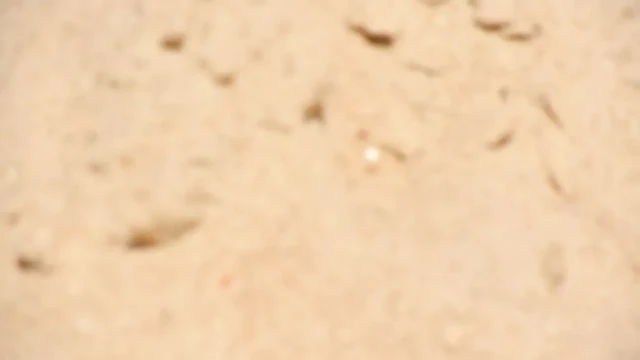 ma belle voisine de plage