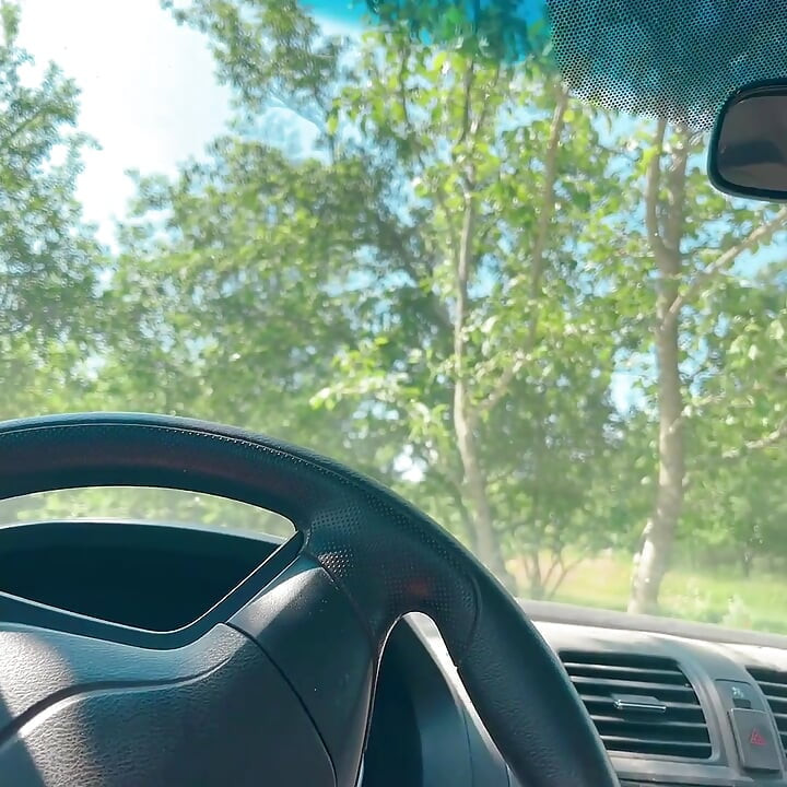 Sadece Piss Garden'a yürü