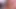 3'lü porno - şanslı bir adam üçlü sekste iki mürekkepli kız tarafından emiliyor