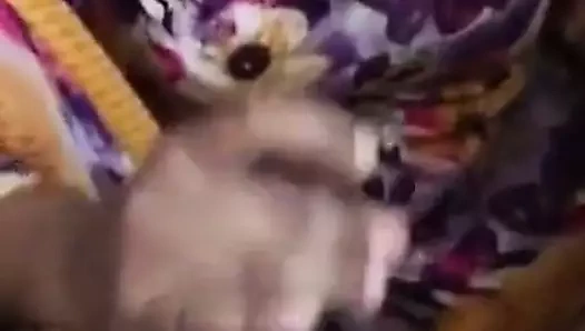 Baring hale ko lado chusdai valu