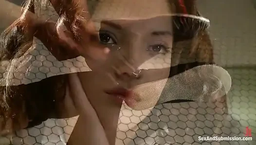 Dreaming of You