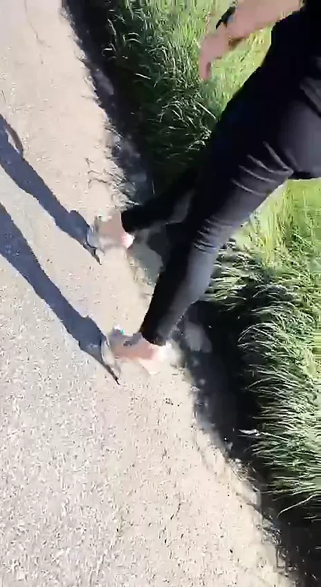 Sahibe kötü kedi kölesini gezdiriyor