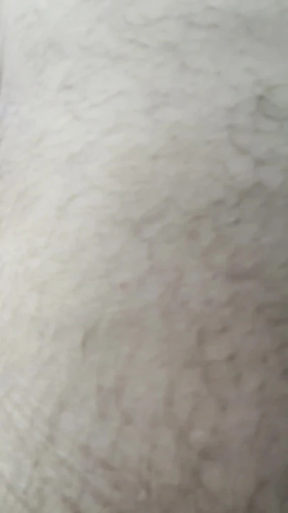 "Arabada seks" den duygusal an