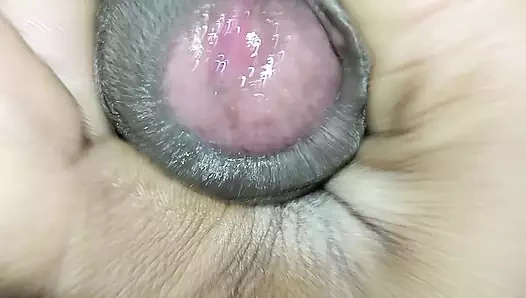 Boy musterbate Hintçe ses