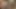 Seksi Asyalı piliç Lielani iki büyük siyah sığır sünneti tarafından iyi sikiliyor