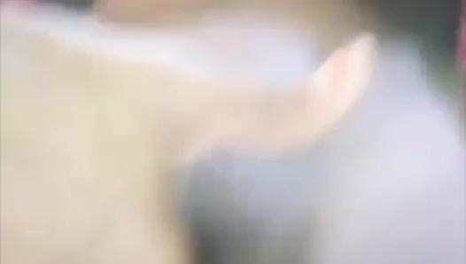 Bangladeşli sevimli kız ustası
