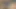 BEST Sweetie Fox Onlyfans Compilation Spring 2024
